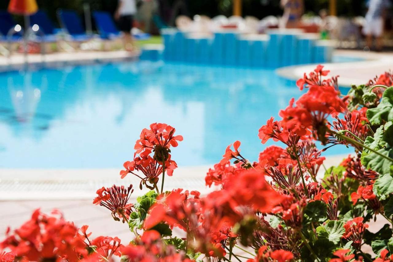 Begonville Apart Hotel シダ エクステリア 写真
